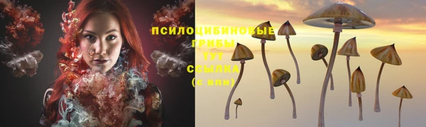 амф Алзамай
