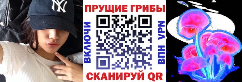 Псилоцибиновые грибы прущие грибы  Майкоп 